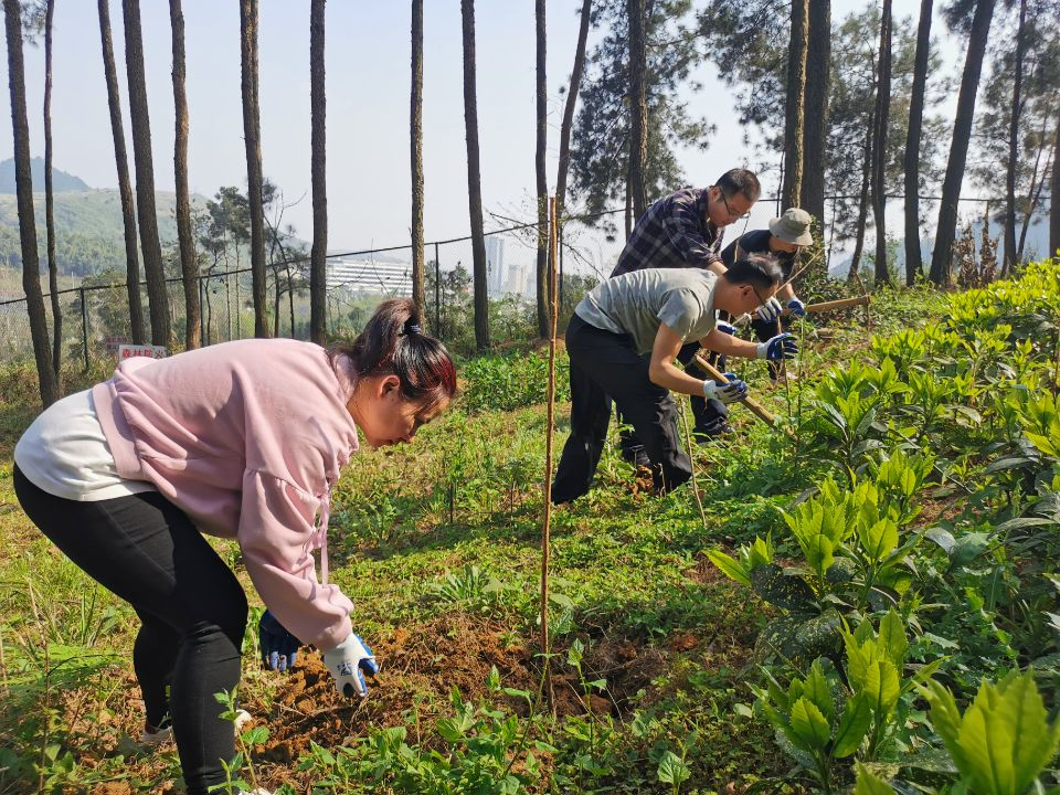 “共植同心樹(shù) 堅(jiān)定跟黨走 奮進(jìn)新時(shí)代” 第三黨支部開(kāi)展主題黨日活動(dòng)