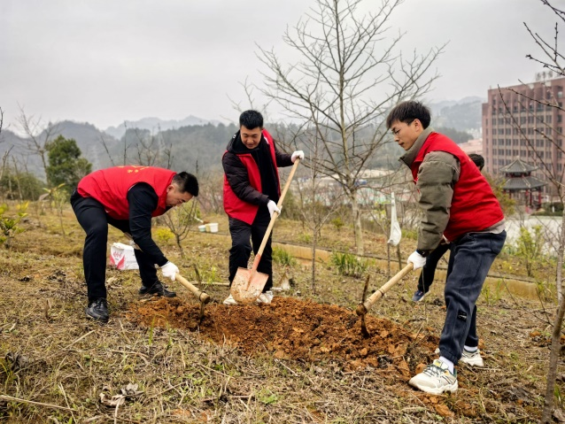 基礎教學部黨支部開展“凝心聚力栽希望·跟黨同行筑青山”主題黨日活動